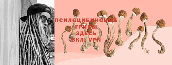 ECSTASY Абаза